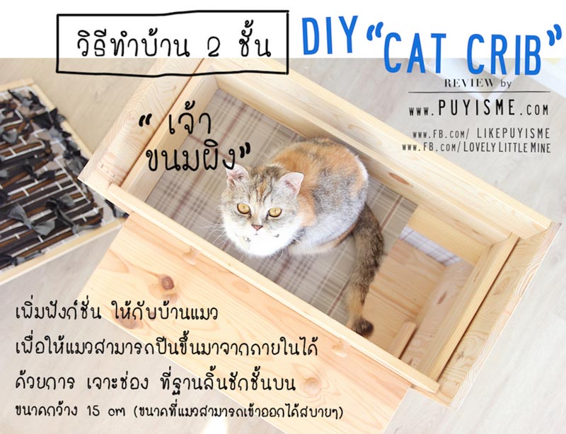DIY บ้านแมว DIY บ้านแมว