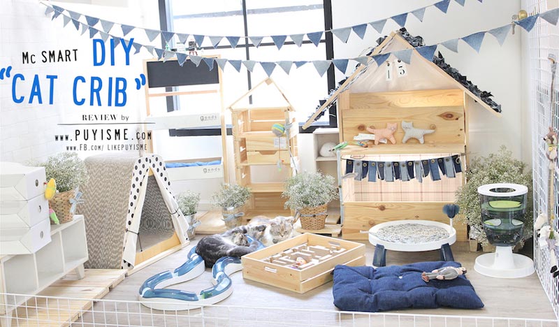 DIY บ้านแมว DIY บ้านแมว