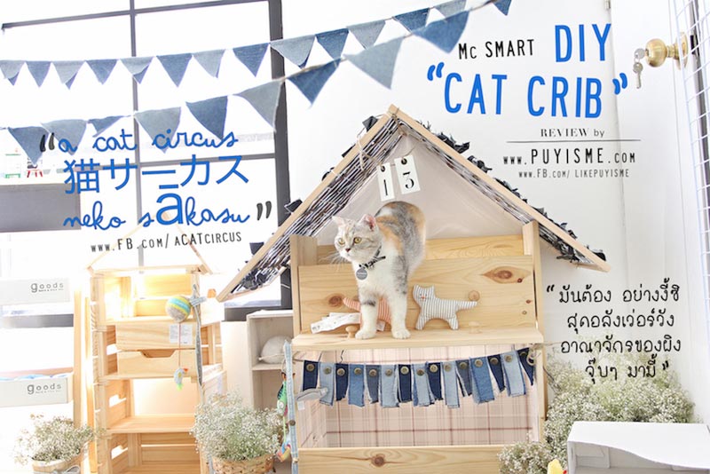 DIY บ้านแมว DIY บ้านแมว