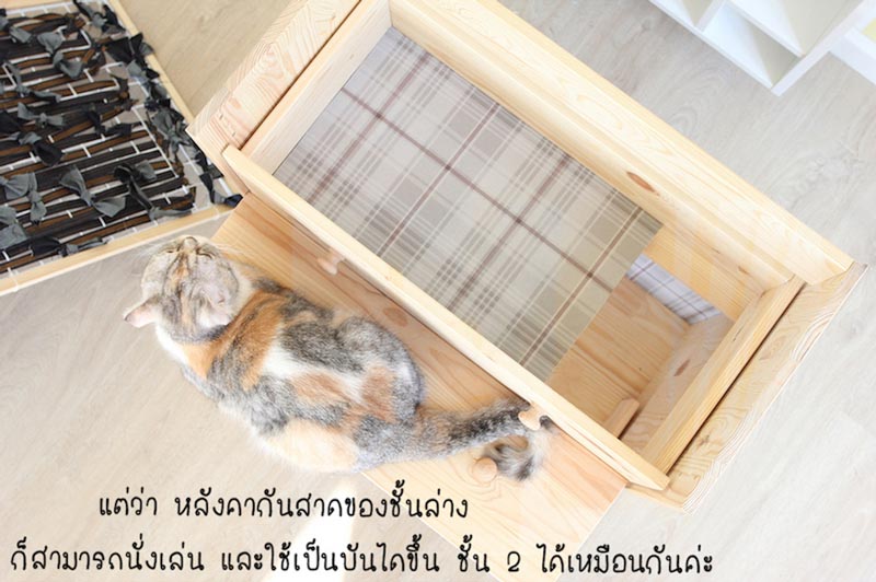 DIY บ้านแมว DIY บ้านแมว