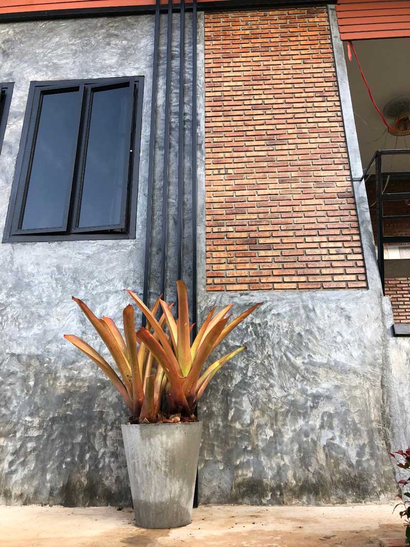จัดสวนหน้าบ้าน จัดสวนหน้าบ้าน