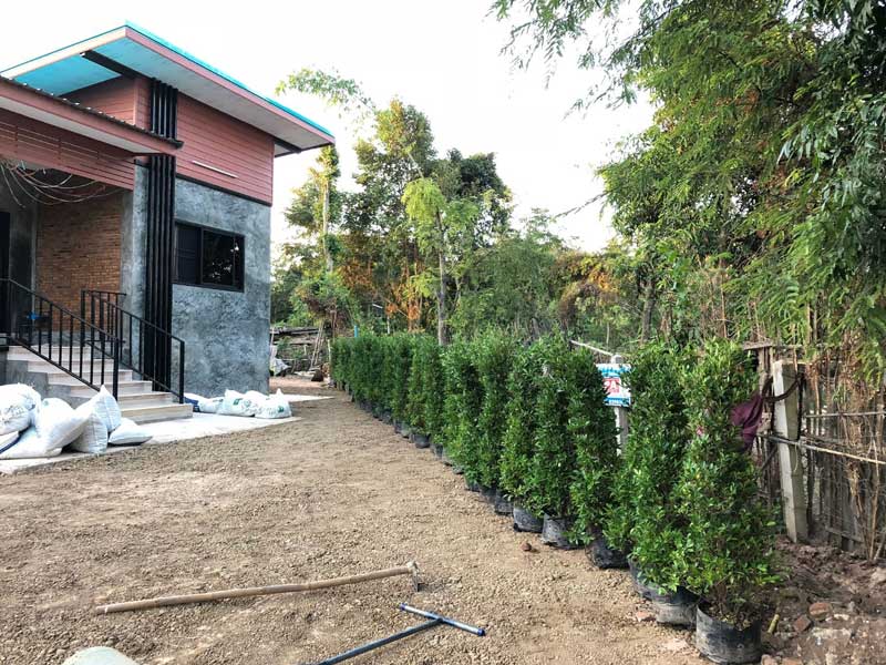 จัดสวนหน้าบ้าน จัดสวนหน้าบ้าน
