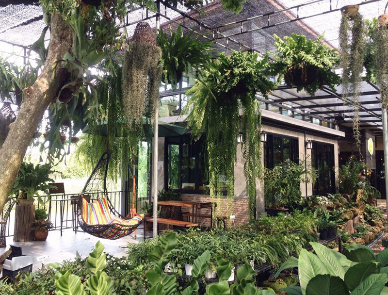 ที่เที่ยวนครนายก สวนป้าอินทร์