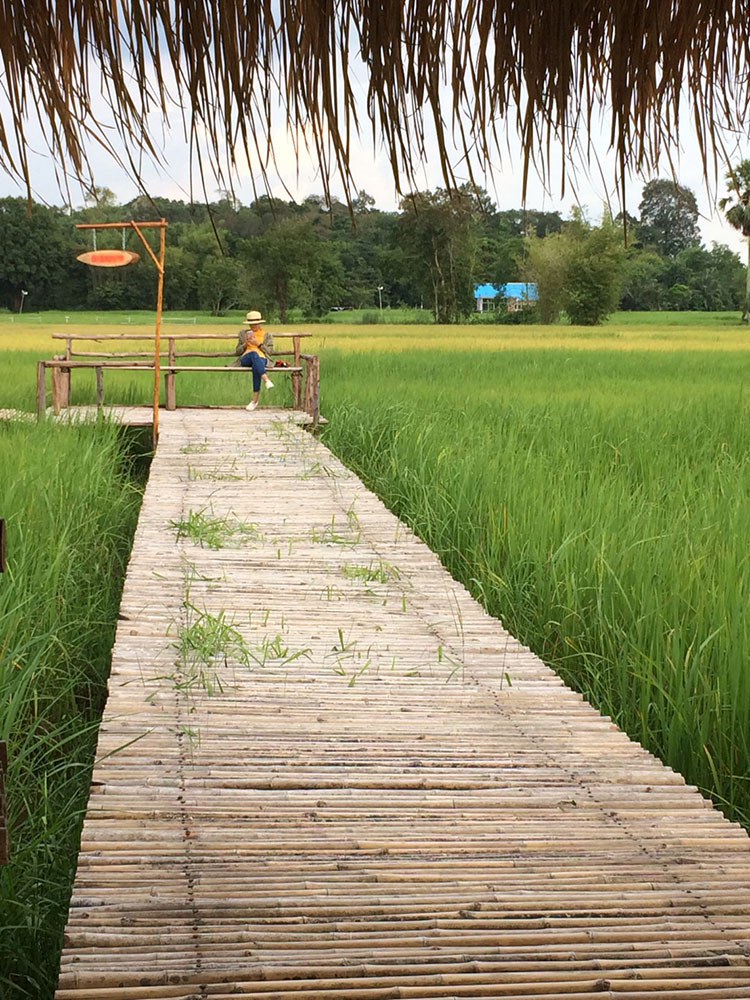ที่เที่ยวนครนายก สะพานไม้ดอนยายแมะ