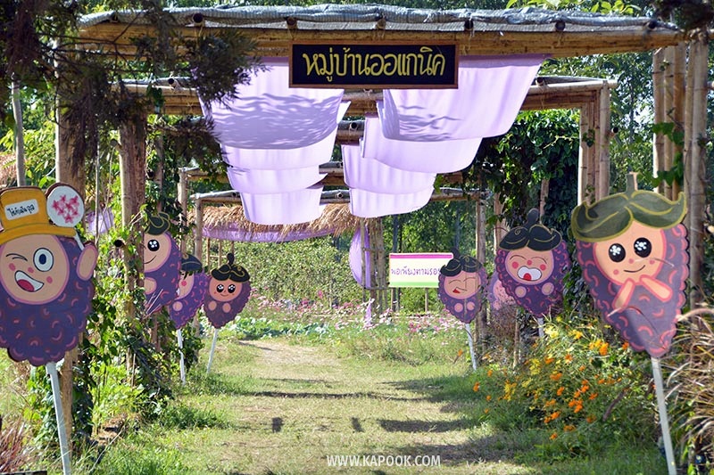 ที่เที่ยวเพชรบูรณ์ ที่เที่ยวเพชรบูรณ์