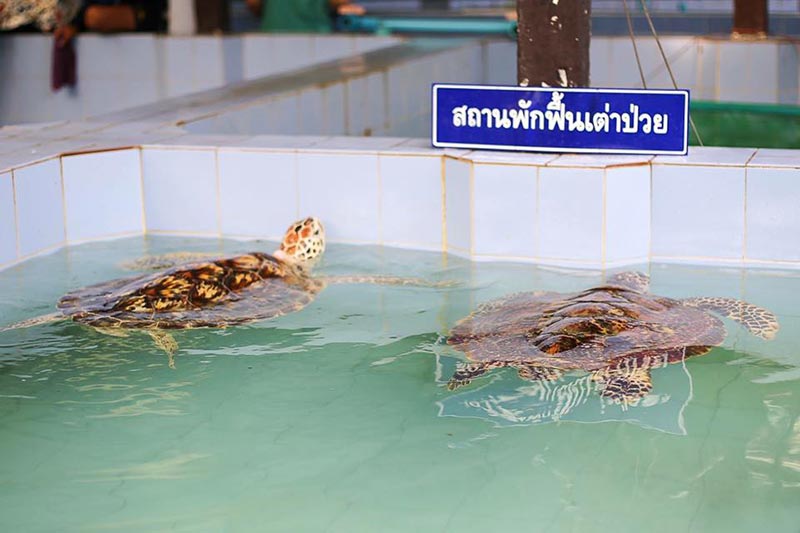 โครงการพระราชดำริ สมเด็จพระพันปีหลวง โครงการพระราชดำริ สมเด็จพระพันปีหลวง
