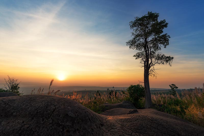 ที่เที่ยวชัยภูมิ อุทยานแห่งชาติภูแลนคา
