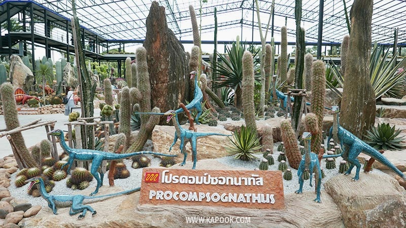 สวนนงนุช สวนนงนุช