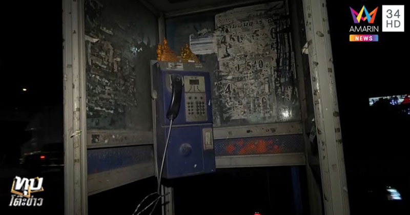 สาวโคโยตี้ สาวโคโยตี้