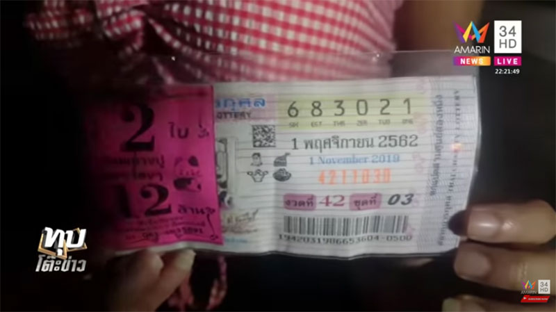 สาวโคโยตี้ สาวโคโยตี้