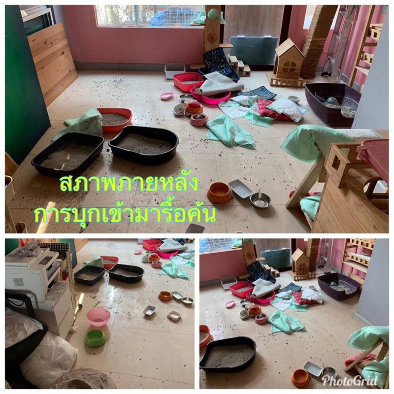 กลุ่มสัตวแพทย์ กลุ่มสัตวแพทย์