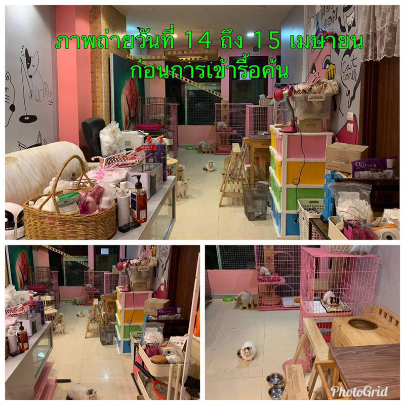 กลุ่มสัตวแพทย์ กลุ่มสัตวแพทย์