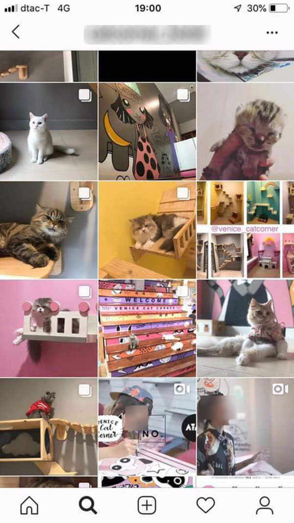 กลุ่มสัตวแพทย์ กลุ่มสัตวแพทย์