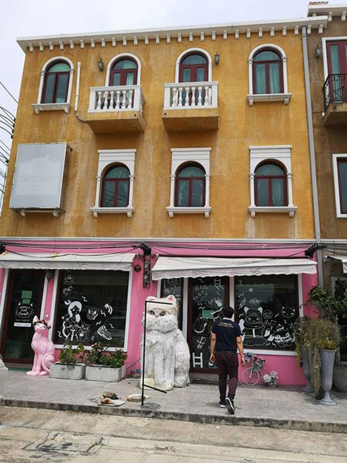 กลุ่มสัตวแพทย์ กลุ่มสัตวแพทย์