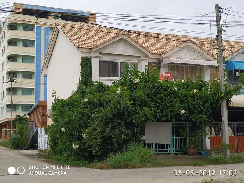 สุนัข สุนัข