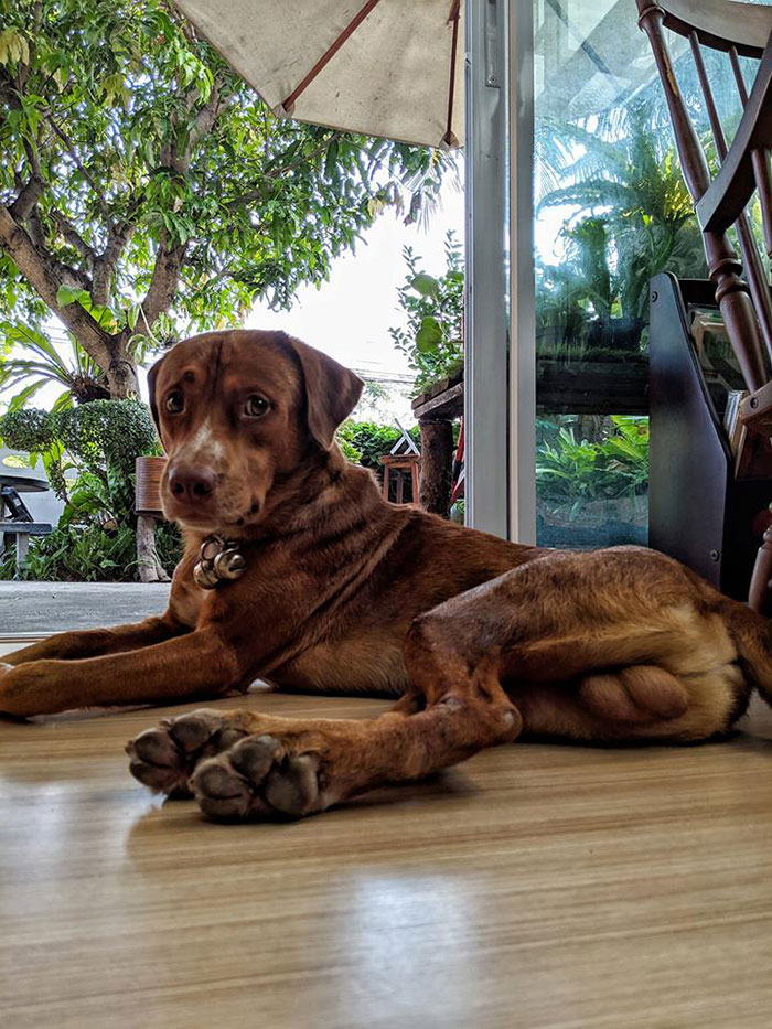 บุญรอด บุญรอด