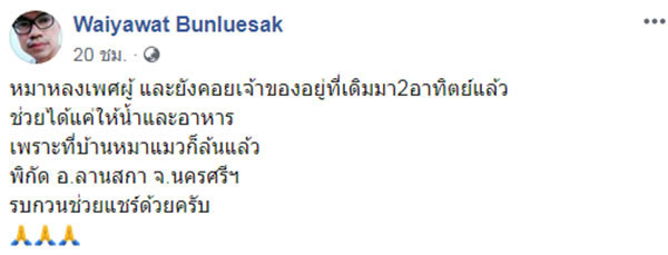 ตูบหลงทาง ตูบหลงทาง