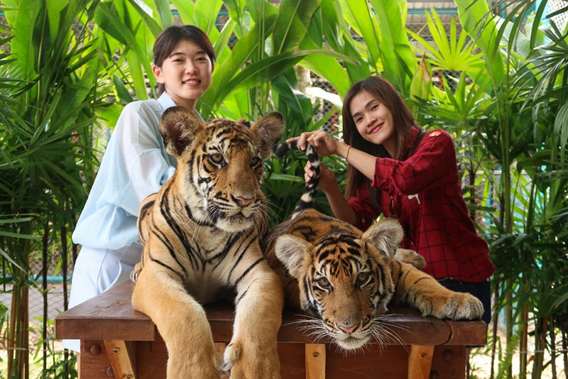 สถานที่ท่องเที่ยวไทย สถานที่ท่องเที่ยวไทย