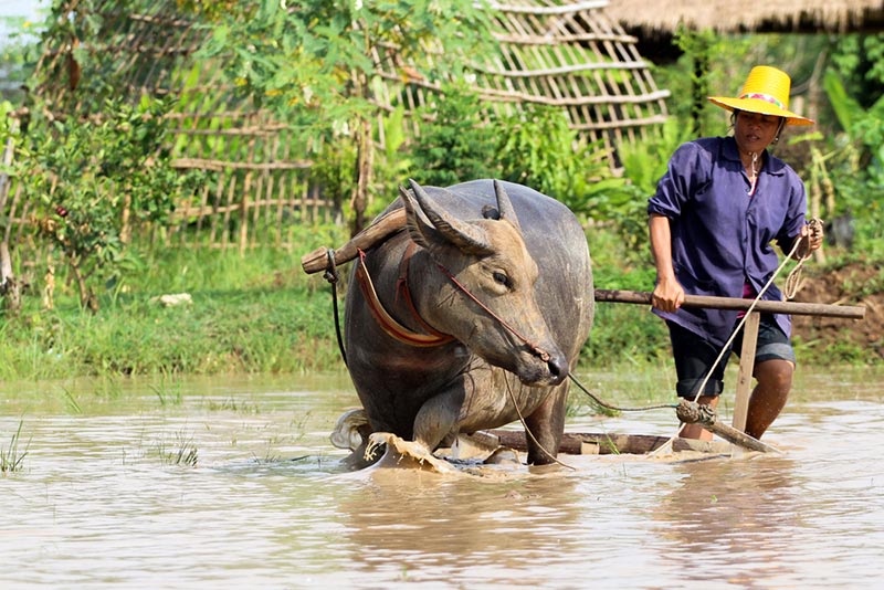 สระแก้ว สระแก้ว