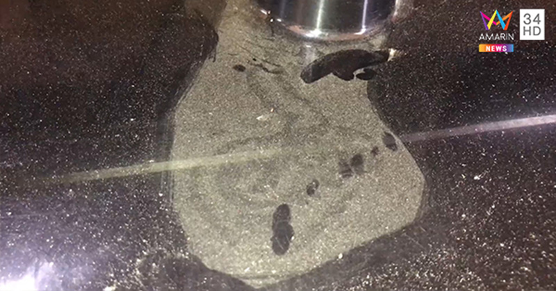 ถูกหวย พญานาค ถูกหวย พญานาค