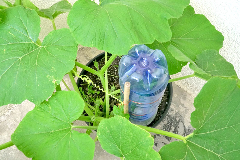 DIY เครื่องรดน้ำอัตโนมัติ DIY เครื่องรดน้ำอัตโนมัติ