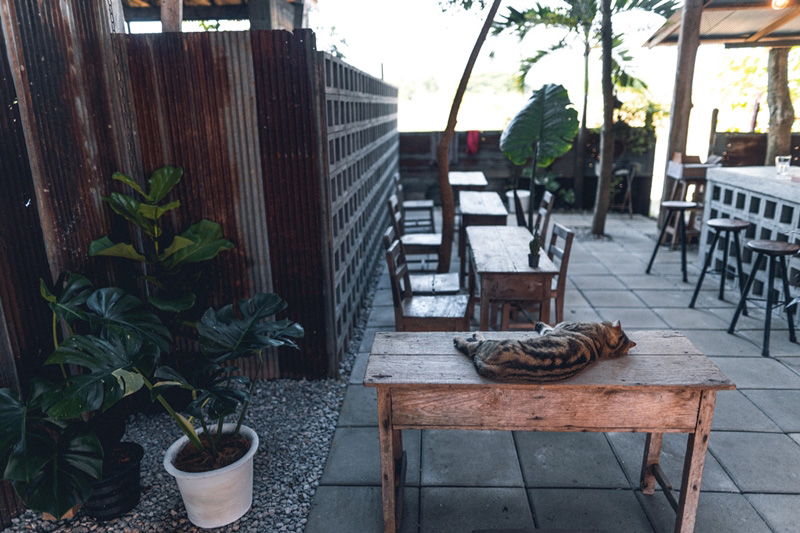 ร้านกาแฟในบ้าน ร้านกาแฟในบ้าน