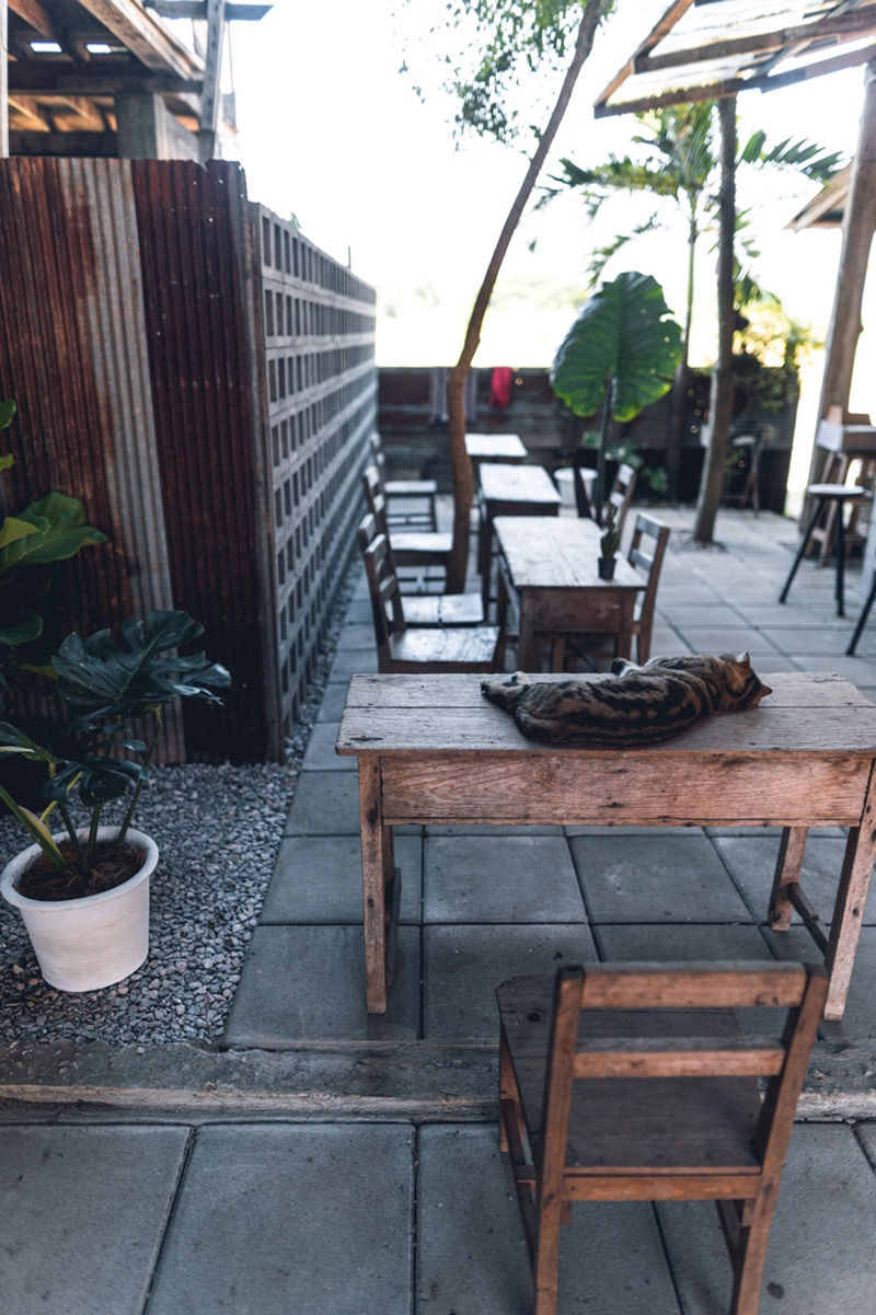 ร้านกาแฟในบ้าน ร้านกาแฟในบ้าน