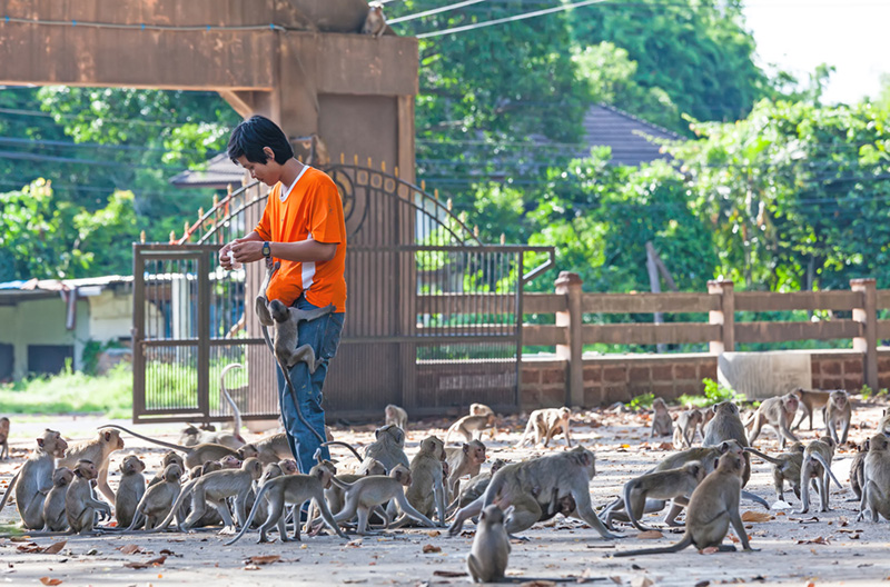 ที่เที่ยวอำนาจเจริญ ที่เที่ยวอำนาจเจริญ