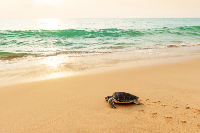 อุทยานแห่งชาติทางทะเล อุทยานแห่งชาติเขาลำปี-หาดท้ายเหมือง