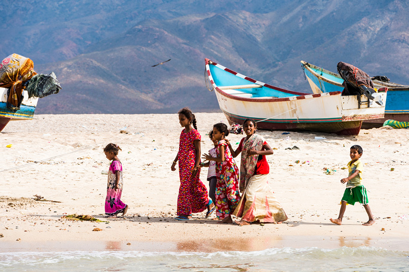 เกาะ Socotra เกาะ Socotra