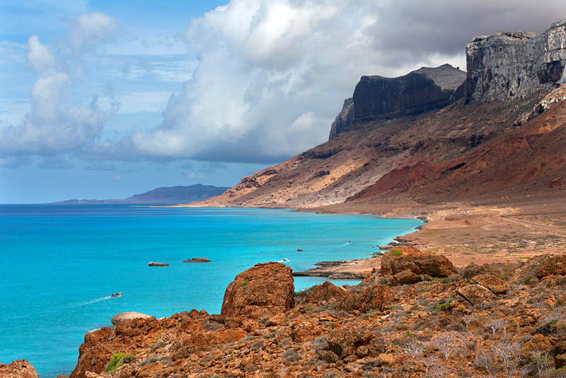 เกาะ Socotra เกาะ Socotra