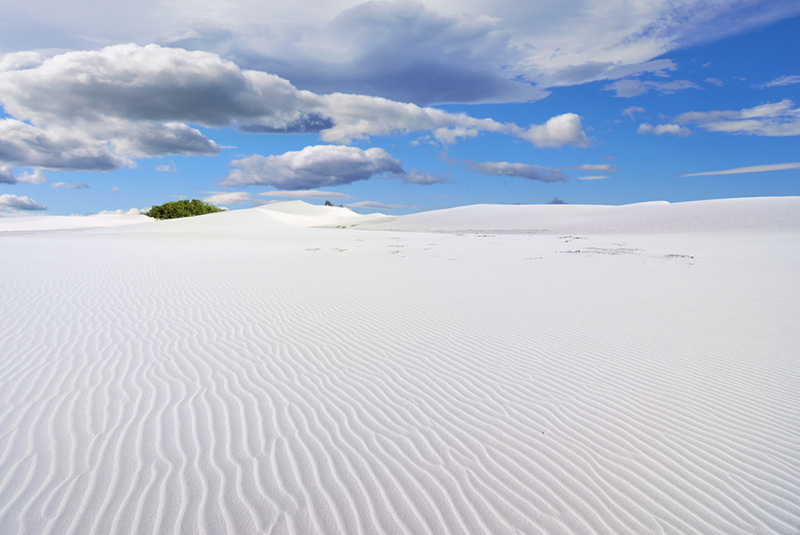 เกาะ Socotra เกาะ Socotra