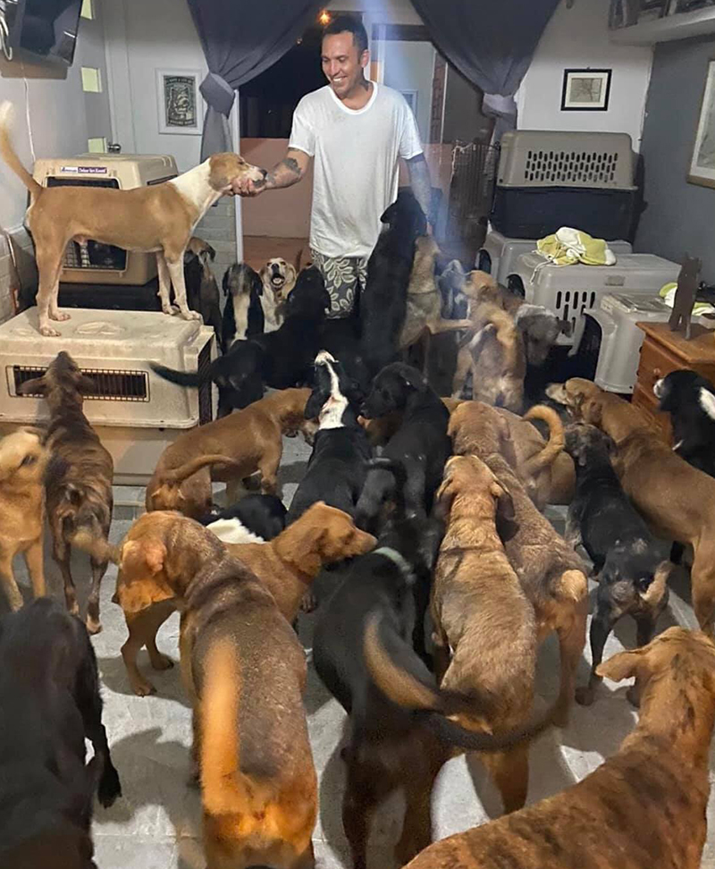 ฮีโร่หมาจร ฮีโร่หมาจร