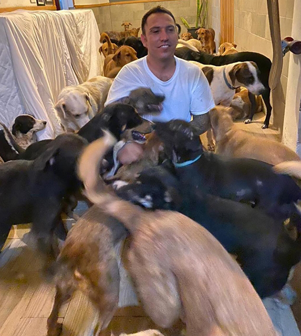 ฮีโร่หมาจร ฮีโร่หมาจร