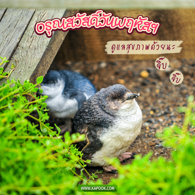 ดูดวงรายวัน ดูดวงรายวัน