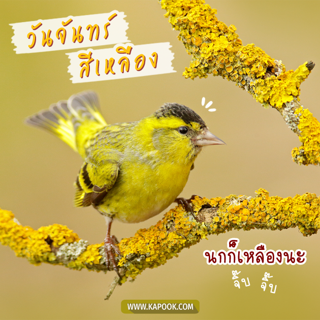 ดูดวงรายวัน ดูดวงรายวัน