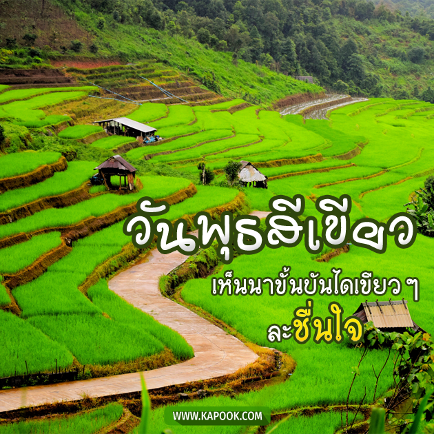 ดูดวงรายวัน ดูดวงรายวัน