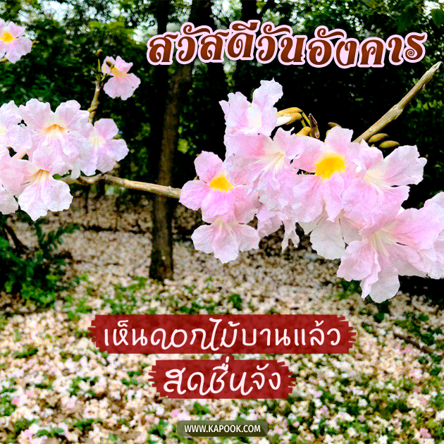 ดูดวงรายวัน ดูดวงรายวัน