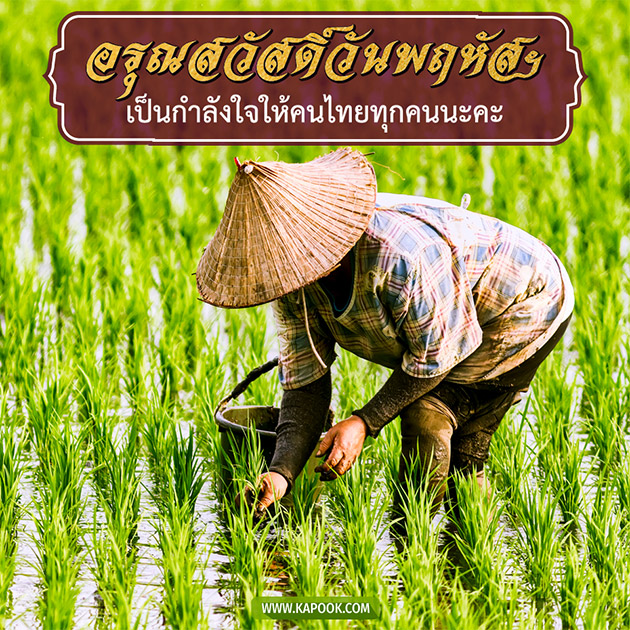 ดูดวงรายวัน ดูดวงรายวัน