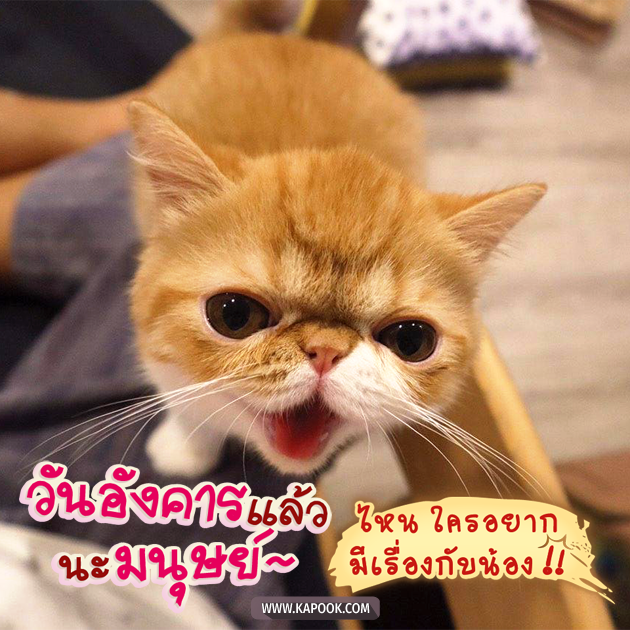 ดูดวงรายวัน ดูดวงรายวัน