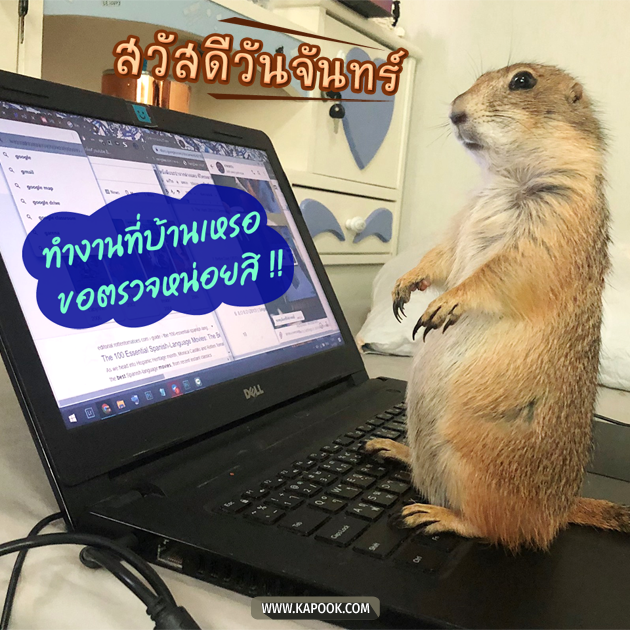 ดูดวงรายวัน ดูดวงรายวัน