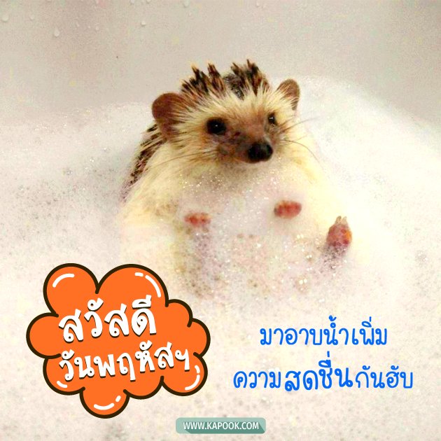ดูดวงรายวัน ดูดวงรายวัน