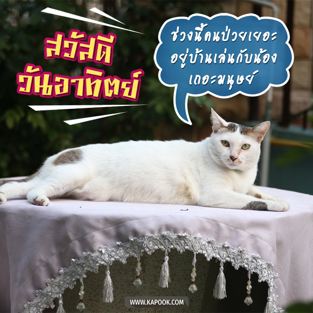 ดูดวงรายวัน ดูดวงรายวัน