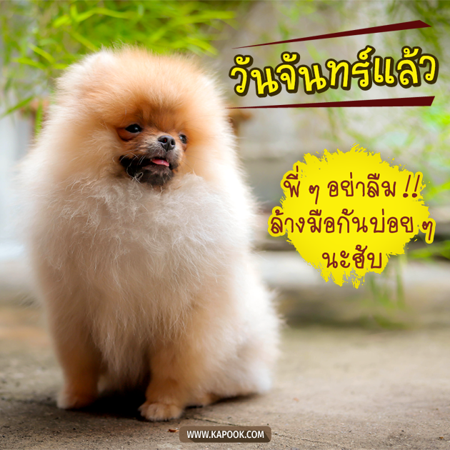 ดูดวงรายวัน ดูดวงรายวัน