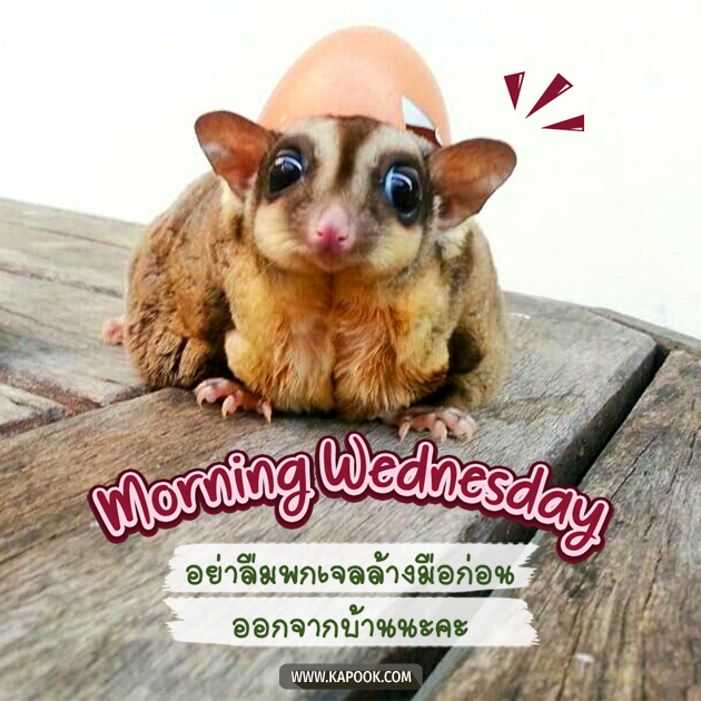 ดูดวงรายวัน ดูดวงรายวัน