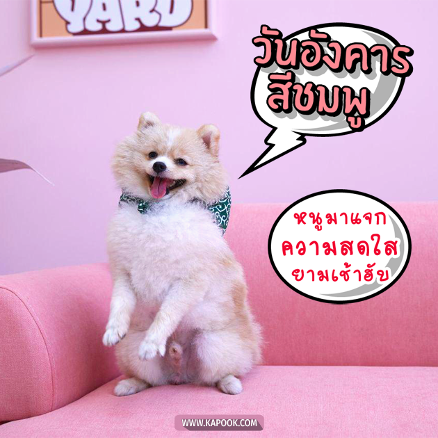 ดูดวงรายวัน ดูดวงรายวัน