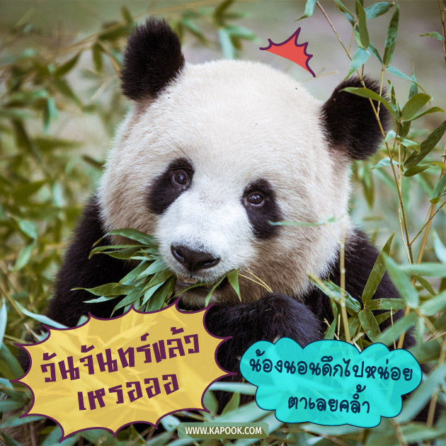 ดูดวงรายวัน ดูดวงรายวัน