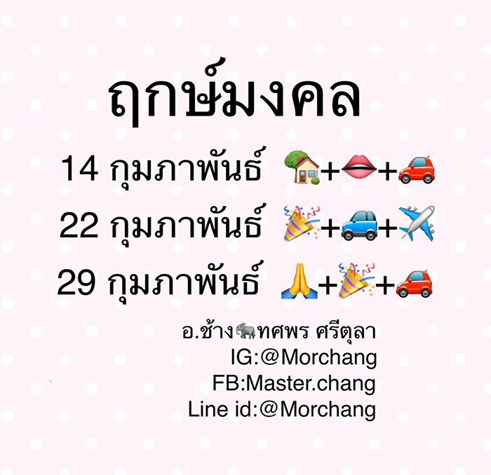 หมอช้าง ทศพร หมอช้าง ทศพร