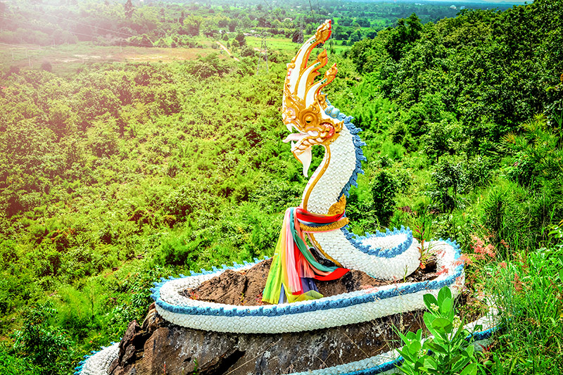 ทำนายฝัน ทำนายฝัน