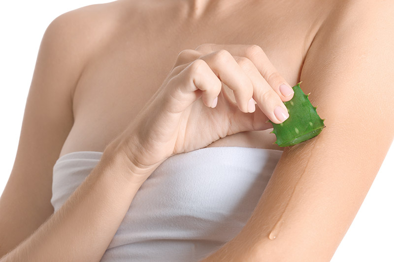 ว่านหางจระเข้ ว่านหางจระเข้